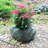 Toad Hollow Handmade Statue Planter-468602482