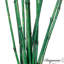 Ensemble de 12 tiges décoratives naturelles en bambou pour un vase, centre de table de décoration unique de 43 po Uniquewise-559063897-566587464