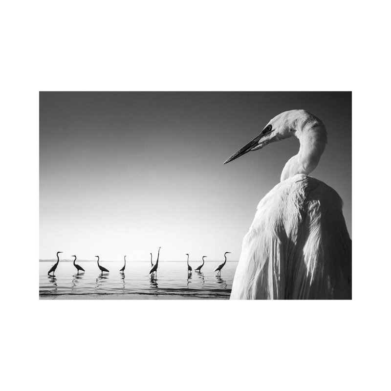 Fishermen II by Moises Levy - Wrapped Canvas Gallery-Wrapped Canvas Giclée, 20.32 cm H x 30.48 cm W