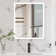 Surface Frameless LED Davaughn Mirror With 2 Adjustable Shelf & Bluetooth Speaker