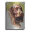 «Am Water Spaniel» par Barbara Keith-1584492133