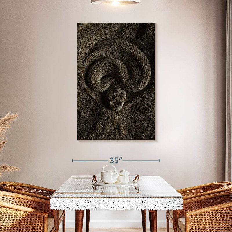 Brampt Coiled Horned Rattlesnake, 48" H x 32" W