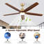 132cm Ceiling Fan with LED Lights