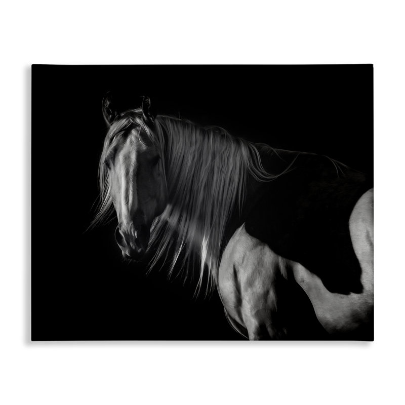 Art mural sur toile Stoic Horse in Dark Lighting, conception par PHBurchett, H 16 po x l 20 po