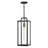 Hinkley Catalina Medium Hanging Lantern