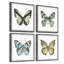 Fly Like A Butterfly by Marmont Hill - 4 Piece Single Picture Frame Painting Set-919708541