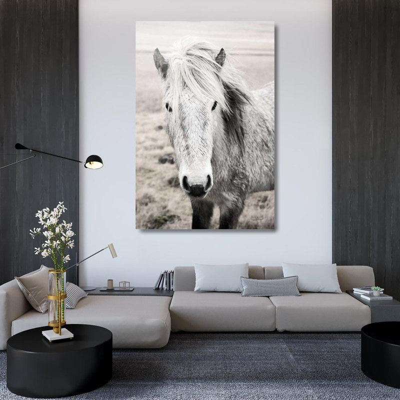 «Red Barrel Studio® Marshall, Laura», reproduction d'art sur toile tendue sous le titre Heida II BW, H 48 po x l 33 po