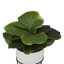 Plante artificielle en pot 12,25 po