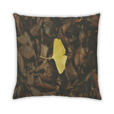 Coussin décoratif Color Focus