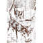 « cerf », reproduction d’impression sur bois-22464370