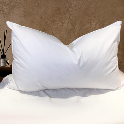 Goose Down Plush Support Pillow (Set of 2)