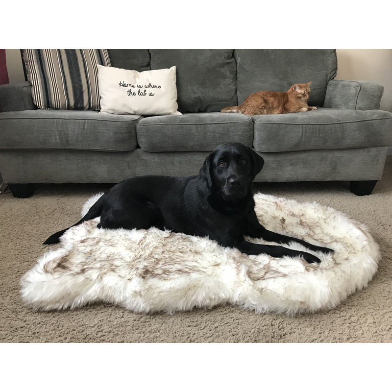 Medium Polar White Faux Fur Orthopedic Dog Bed