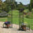 Larson 214cm W x 50cm D Metal Arbour in Black