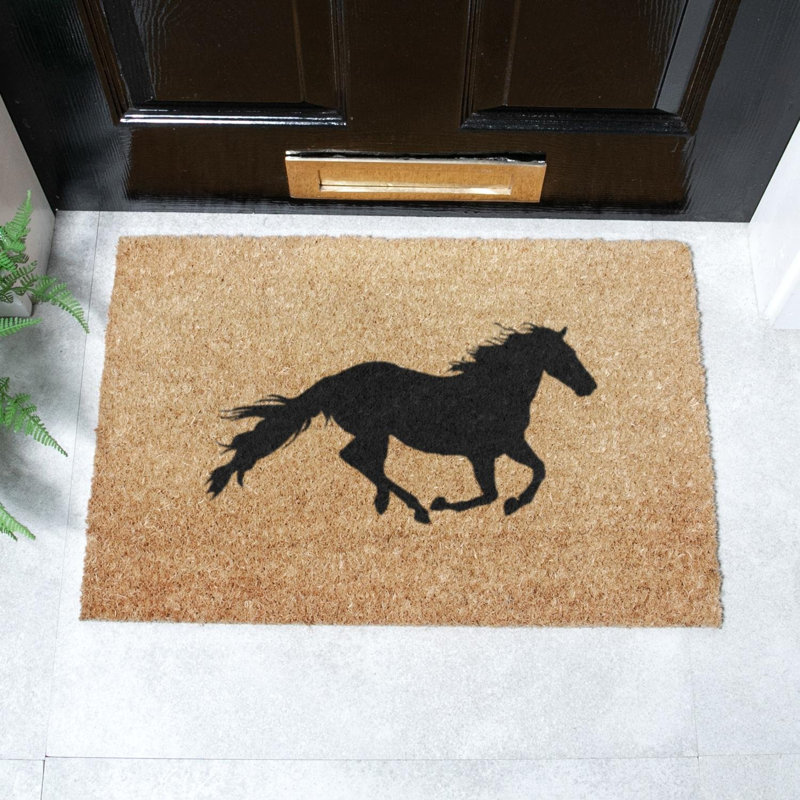 Drakeford Non-Slip Indoor Doormat