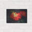 «Night Light-C» par Kirk Reinert-693639772
