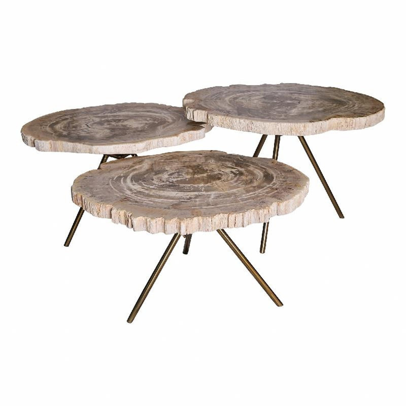 Nhyira Coffee Table, Natural