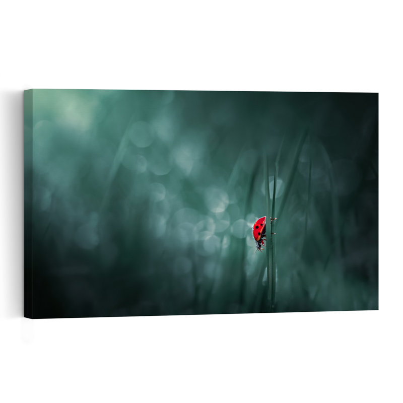 Red Ladybug On Green Delicate Dreamy Peaceful Ladybug Nature Wildlife Wall Art Print by Atul Saluja - Print