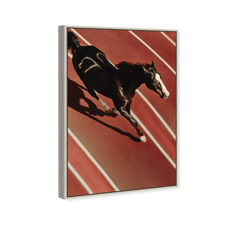 Velocity Vector Print by Oliver Gal, 37"H x 55"W, Silver Floater Frame