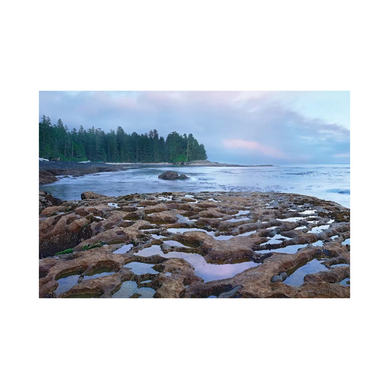 Tide Pools Exposed At Low Tide, Botanical Beach, Juan De Fuca Provincial Park, Vancouver Island, British Columbia, Canada by Tim Fitzharris - Wrapped Canvas Print