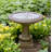 Connerton Concrete Pedestal Birdbath-1734843131
