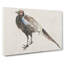 Pheasant by Kawanabe Kyosai - Wrapped Canvas-55366415