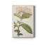 Antique Botanical Collection VI - reproduction-2069093314