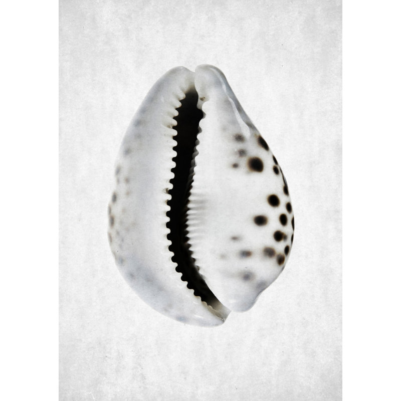 Wrapped Canvas Print, 81.28 cm H x 121.92 cm W