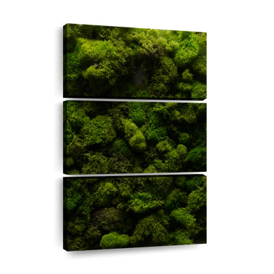 " Thick Moss " 3 - Pieces
