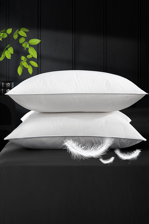 Goose Down Pillow Set