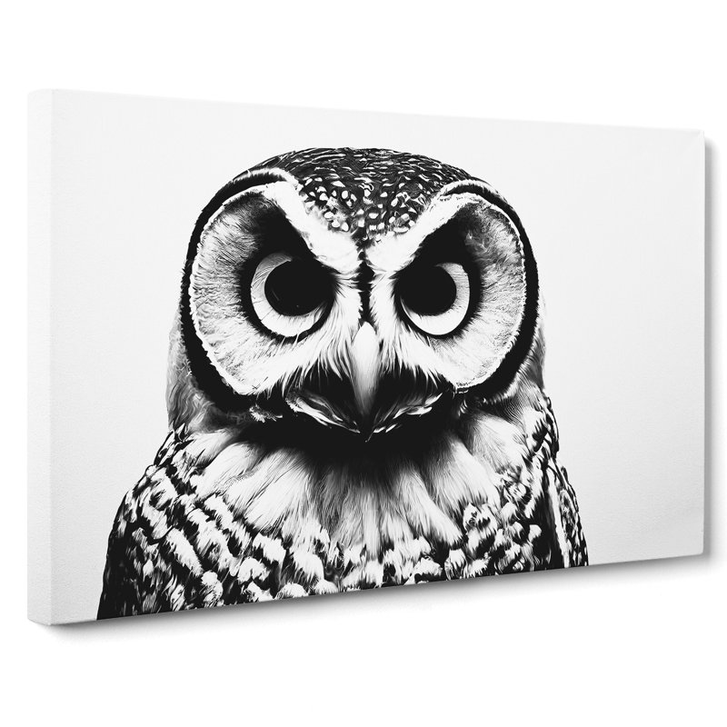 Barn Owl Monochrome - Wrapped Canvas, 40cm H x 60cm W x 3cm D