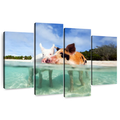 Brampt Bahamas Pigs