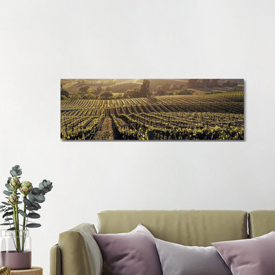 Aerial View Of A Vineyard, Los Carneros AVA, California, USA - Wrapped Canvas Panoramic Print