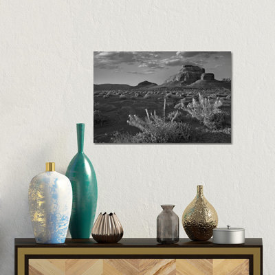 Miner's Candle flowers, Cathedral Wash, Vermilion Cliffs National Monument, Arizona 1 Piece Wall Art on Canvas