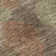 Premium Machine Washable Prisco Brown Rug