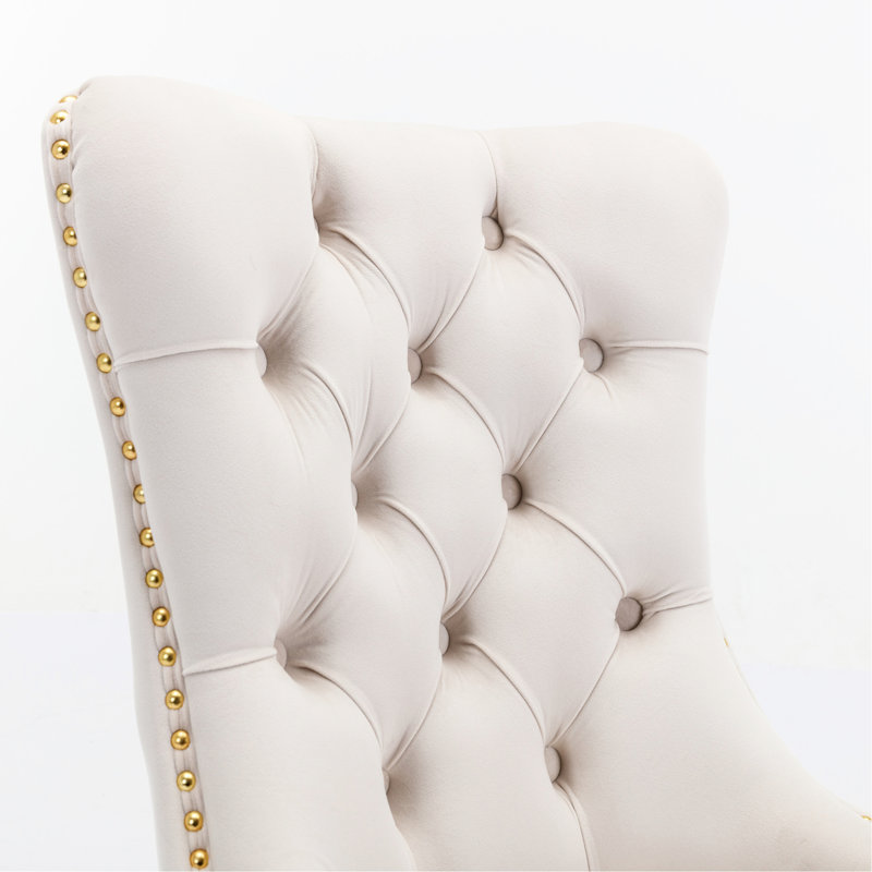 Modern Beige Velvet Upholstered Chairs, Golden Stainless Steel Legs, Decorative Nailhead Trim, 2 , A&A Furniture Collection, Sw1601bg High Dining Chair Velvet, 2,