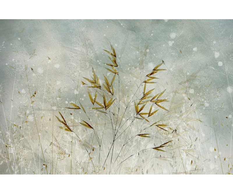 Wrapped Canvas Print, 81.28 cm H x 121.92 cm W