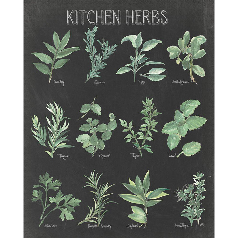 «August Grove® Paschke, Chris», art sur toile tendue sous le titre «Kitchen Herb», H 18 po x l 15 po