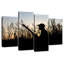Senne, la silhouette du chasseur