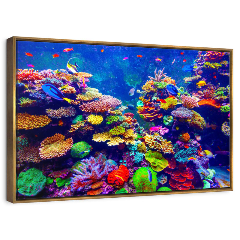 Paysage vibrant sous l'eau, 46 po x 31 po, Cadre flottant doré
