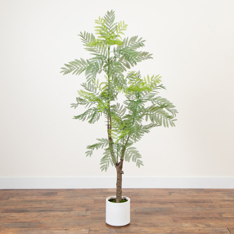 6ft Artificial Green Jacaranda Tree in White Plastic Planter