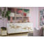 Shell Decorative Box