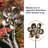 Soraiyah Stainless Steel Rotator
