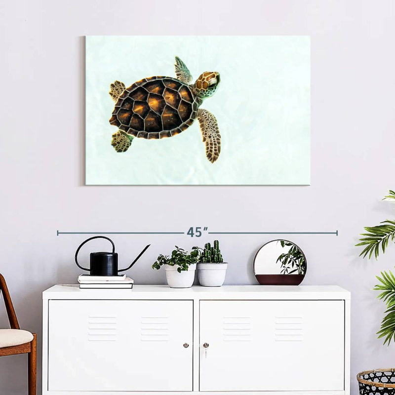 Brampt Baby Turtle, 24" H x 36" W