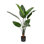 Mangue artificielle en pot