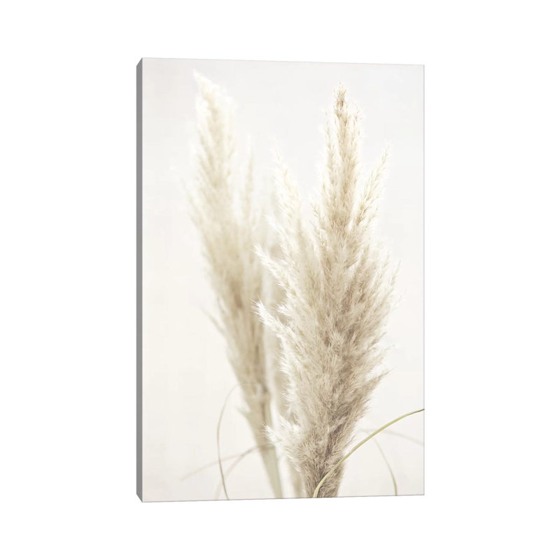 Pampas Reed II by Monika Strigel - Print on Canvas, Wrapped Canvas, 101.6cm H x 66.04cm W x 3.81cm D
