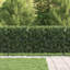 200 cm W Fence Panels Fencing with 1 Panel(s) Included Panel(s) Included-124587422