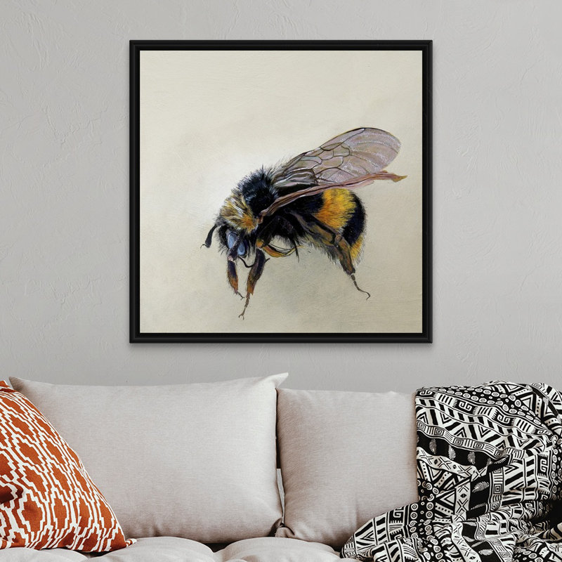 Bombus Terrestris 1 (B), 2008 - reproduction, Cadre flottant noir, H 38 po x l 38 po x P 1,75 po