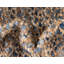 Tapis tressé Mullewa couleur lagon-1449357344