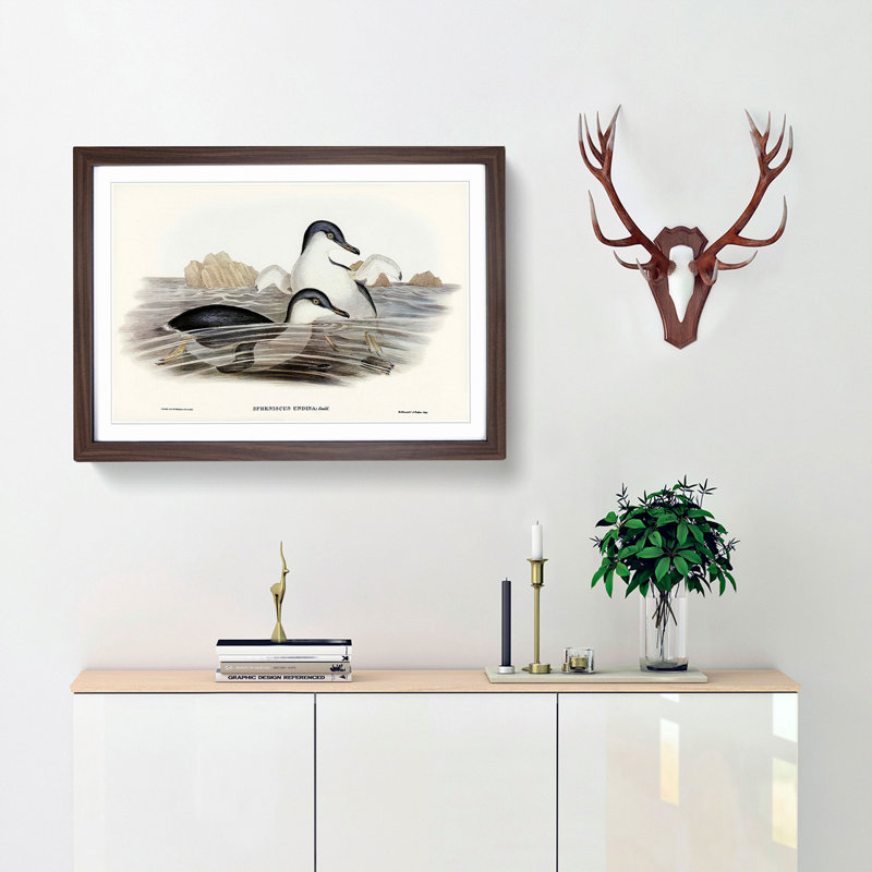 Little Blue Penguins by Elizabeth Gould - Picture Frame Painting Print, Walnut Framed, 36cm H x 48cm W x 2cm D