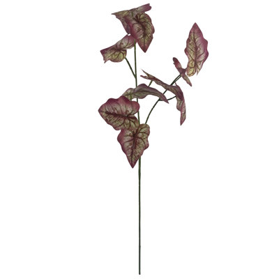Annelies Arrangement